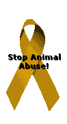Animalspirit.com - Read the ACTION ALERTS!